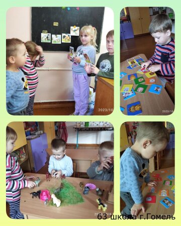 В мир домашних животных