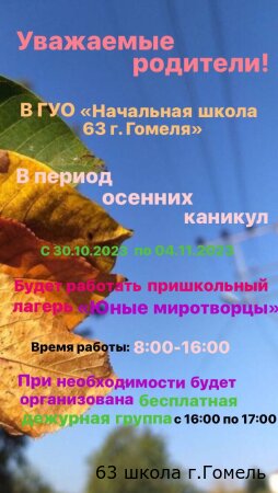 Пришкольный лагерь "Юные миротворцы"