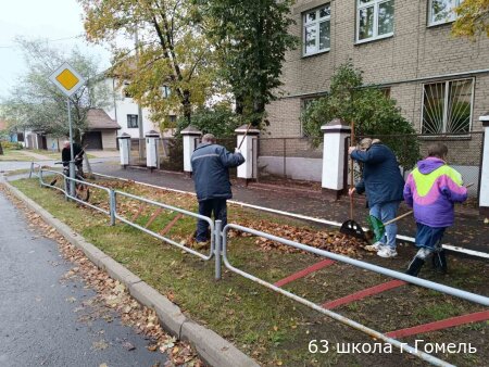 Мой район — чистый район!