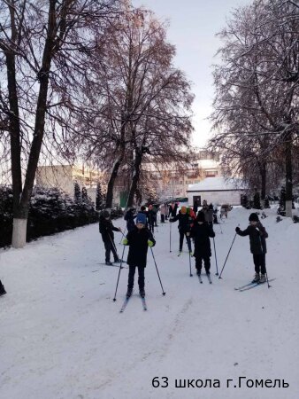 Догони на лыжах