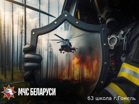 Зеленый щит